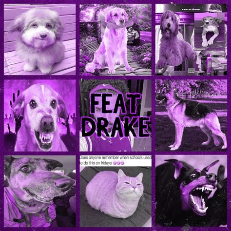 drake for all the dogs genius